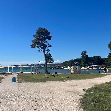 Studio Apartments With Terrace Near Sea - Angela'S Apartments Zadar Luaran gambar